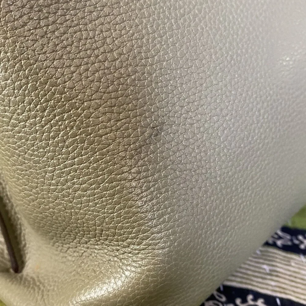 Coach Light Fern Charlie 55200 Polished Pebble Leather Bucket Shoulder Purse